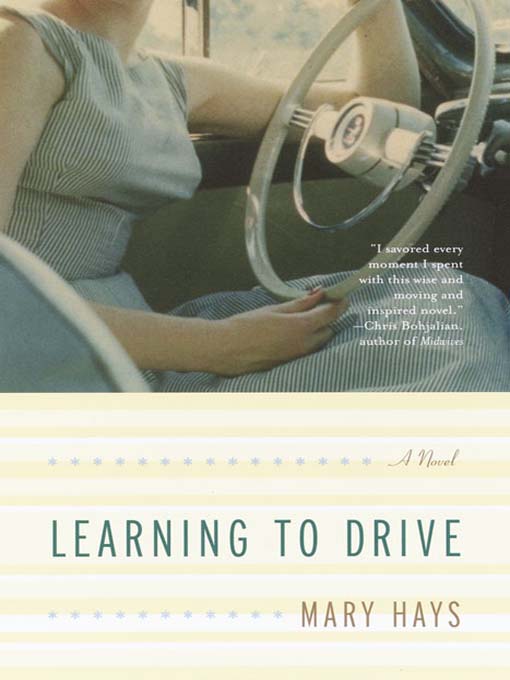 Cover image for Learning to Drive